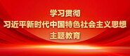 女生被艹的免费视频学习贯彻习近平新时代中国特色社会主义思想主题教育_fororder_ad-371X160(2)